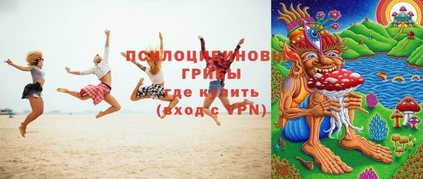 мяу мяу мука Осинники