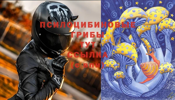 мяу мяу мука Осинники