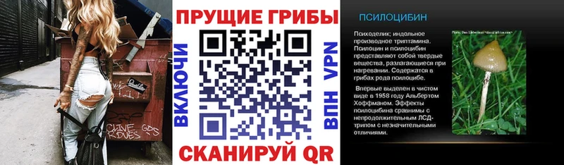 Галлюциногенные грибы прущие грибы  Сунжа 